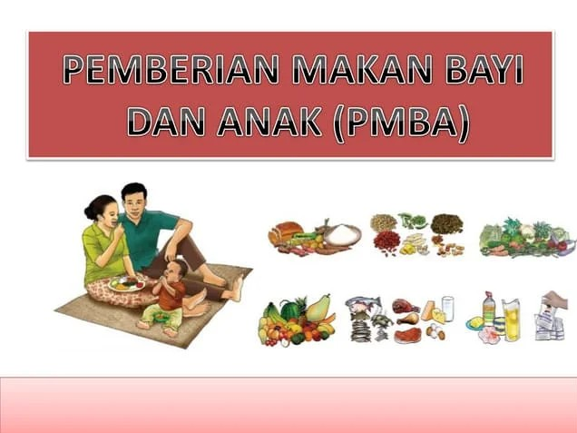 Pelatihan Konseling Pemberian Makan Bayi dan Anak (PMBA) Angkatan I Kerjasama Dinas Kesehatan Kabupaten Pangkajene Kepulauan 