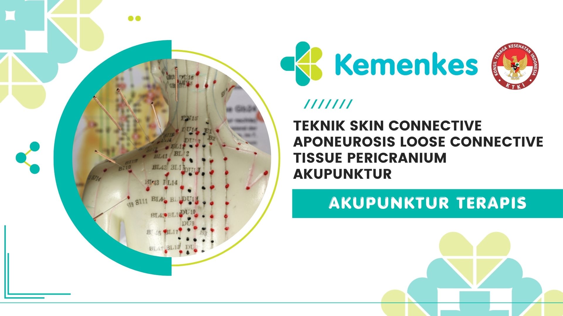 Teknik Skin Connective Aponeurosis Loose Connective Tissue Pericranium Akupunktur (Akupunktur Terapis)